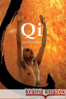 Qi - Stefan Stenudd 9789178940707 Arriba F - książka