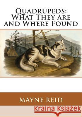 Quadrupeds: What They are and Where Found Reid, Mayne 9781495406997 Createspace - książka