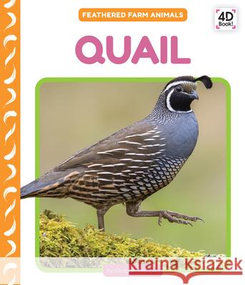 Quail Elizabeth Andrews 9781098248574 Cody Koala - książka