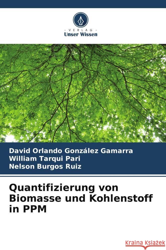 Quantifizierung von Biomasse und Kohlenstoff in PPM González Gamarra, David Orlando, Tarqui Pari, William, Burgos Ruiz, Nelson 9786206515791 Verlag Unser Wissen - książka