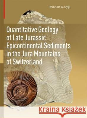 Quantitative Geology of Late Jurassic Epicontinental Sediments in the Jura Mountains of Switzerland Reinhart Gygi 9783034801355 Not Avail - książka