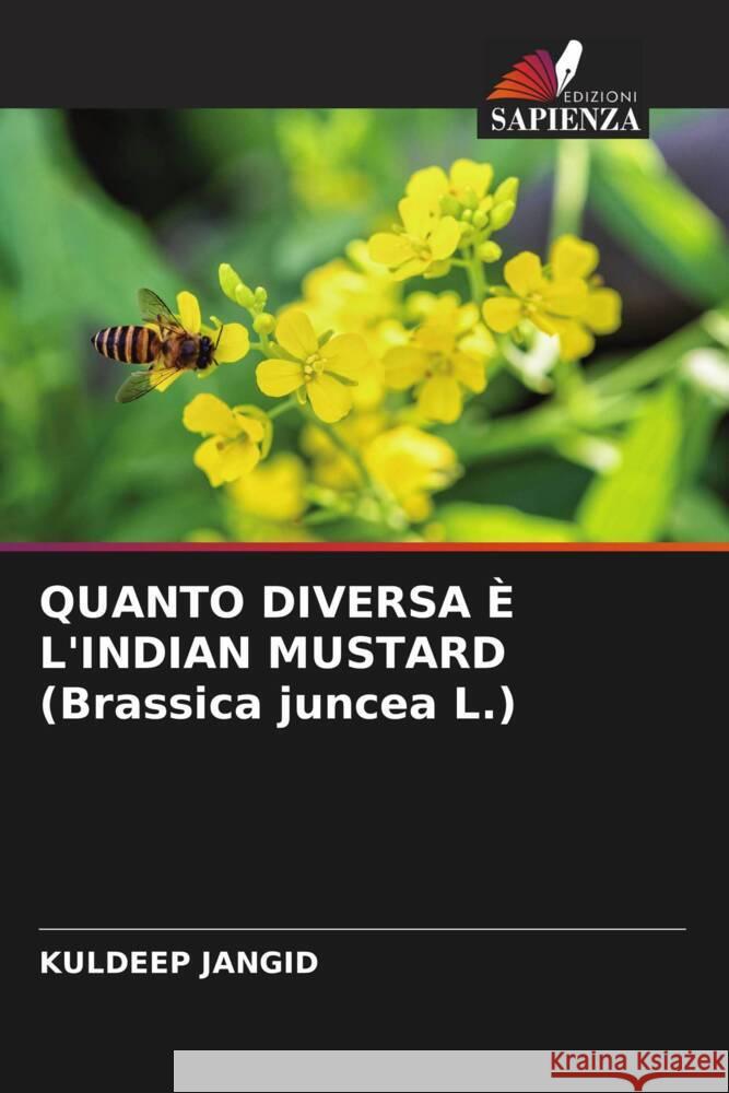 QUANTO DIVERSA È L'INDIAN MUSTARD (Brassica juncea L.) Jangid, Kuldeep 9786204705705 Edizioni Sapienza - książka