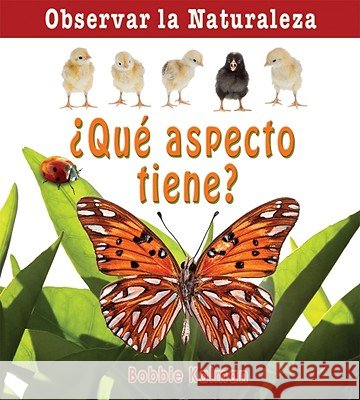 ¿Qué Aspecto Tiene? (How Does It Look?) Kalman, Bobbie 9780778787327 Crabtree Publishing Company - książka