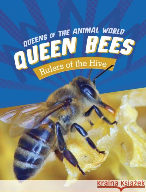 Queen Bees: Rulers of the Hive Maivboon Sang 9781398245846 Capstone Global Library Ltd - książka