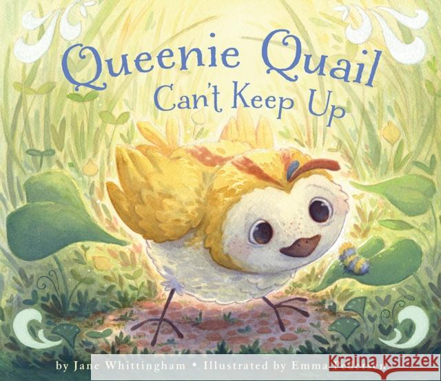 Queenie Quail Can't Keep Up Jane Whittingham Emma Pederson 9781772780673 Pajama Press - książka