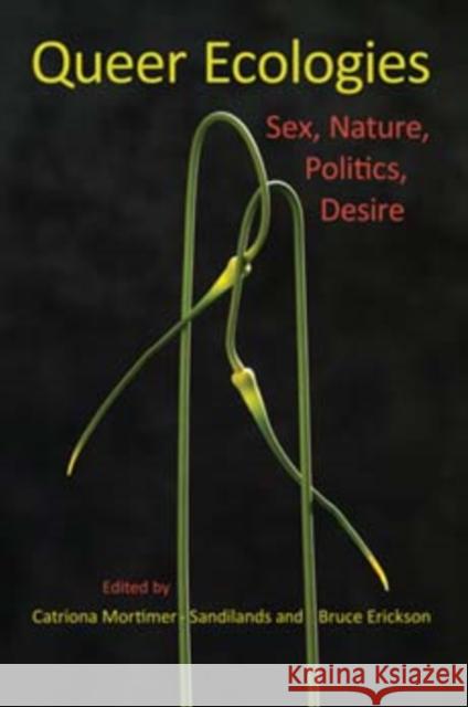 Queer Ecologies: Sex, Nature, Politics, Desire Mortimer-Sandilands, Catriona 9780253222039 Indiana University Press - książka