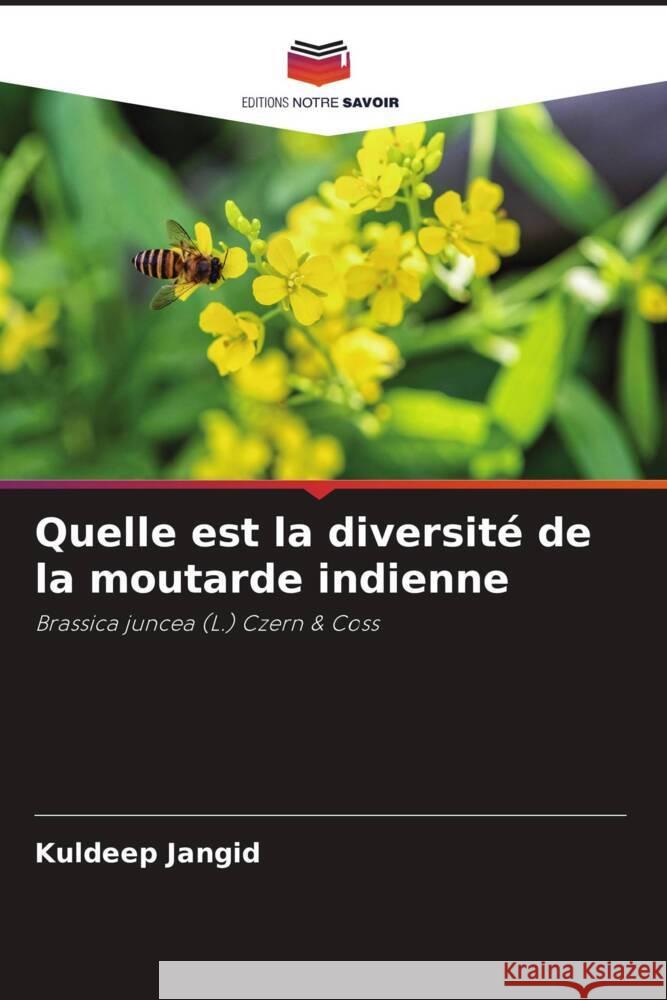 Quelle est la diversité de la moutarde indienne Jangid, Kuldeep 9786204620572 Editions Notre Savoir - książka