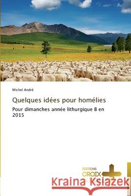 Quelques idées pour homélies Andre-M 9783841699343 Ditions Croix Du Salut - książka