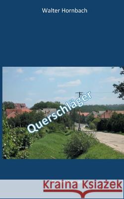Querschläger Walter Hornbach 9783749481620 Books on Demand - książka