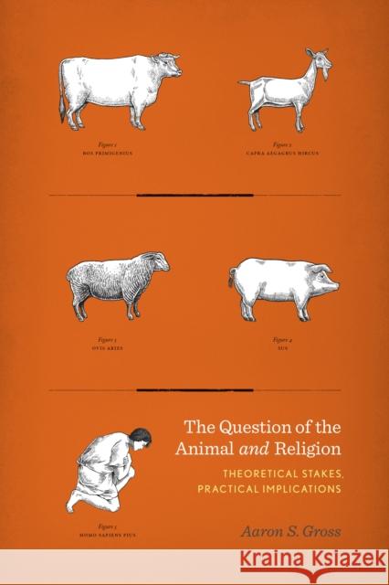 Question of the Animal and Religion: Theoretical Stakes, Practical Implications Gross, Aaron S. 9780231167512 John Wiley & Sons - książka