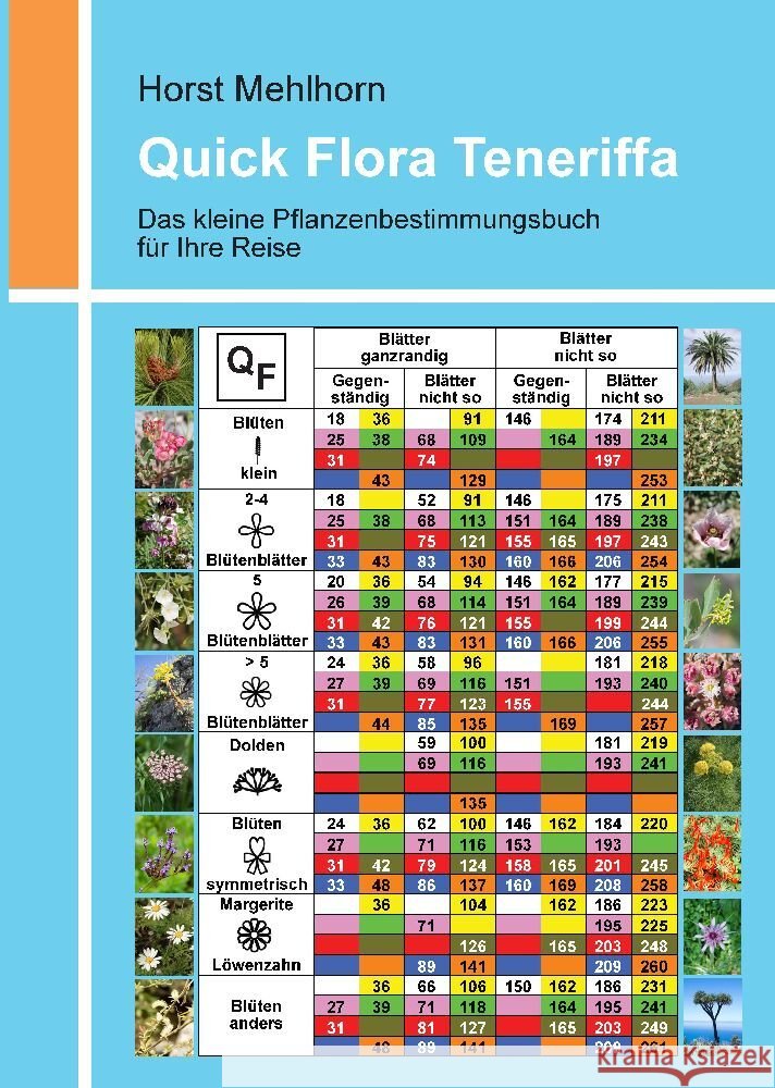 Quick Flora Teneriffa Mehlhorn, Horst 9783347588691 tredition - książka