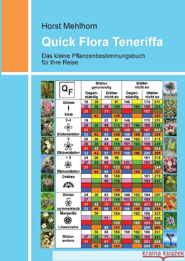 Quick Flora Teneriffa Mehlhorn, Horst 9783347588714 tredition - książka