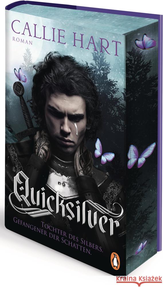 Quicksilver - Tochter des Silbers. Gefangener der Schatten Hart, Callie 9783328604204 Penguin Verlag München - książka