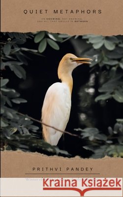 Quiet Metaphors Prithvi Pandey 9789373143699 Bookleaf Publishing - książka