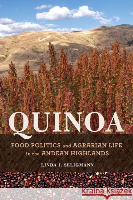 Quinoa: Food Politics and Agrarian Life in the Andean Highlands Linda J. Seligmann Linda Seligmann 9780252044793 University of Illinois Press - książka