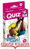 Quiz Konie i kucyki DOMINO MAŁGORZATA , SANOKOWSKA KAJA 9788367816946 KAPITAN NAUKA