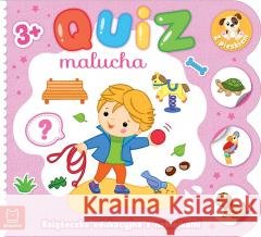 Quiz malucha. Książeczka edukacyjna z naklejkami.. Katarzyna Łanocha 9788382138306 Aksjomat - książka
