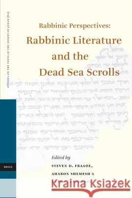 Rabbinic Perspectives: Rabbinic Literature and the Dead Sea Scrolls: Proceedings of the Eighth International Symposium of the Orion Center for the Stu Steven D. Fraade Aharon Shemesh Ruth Clements 9789004153356 Brill Academic Publishers - książka