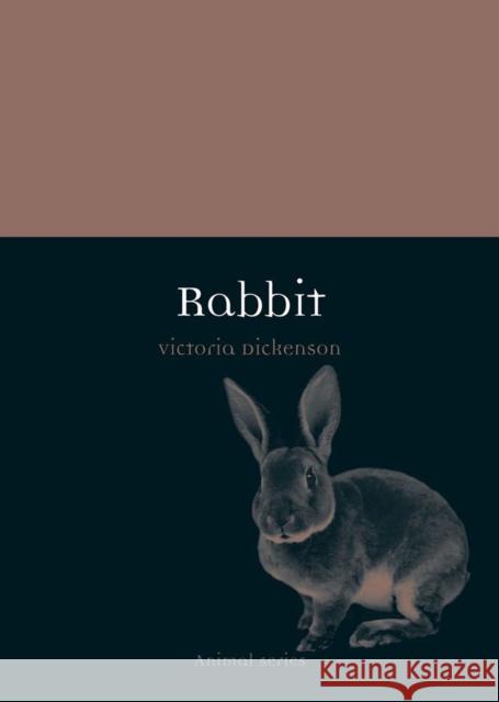 Rabbit Victoria Dickenson 9781780231815  - książka