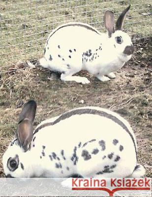 Rabbit and Cavy Culture W. F. Roth Jackson Chambers 9781514131534 Createspace - książka