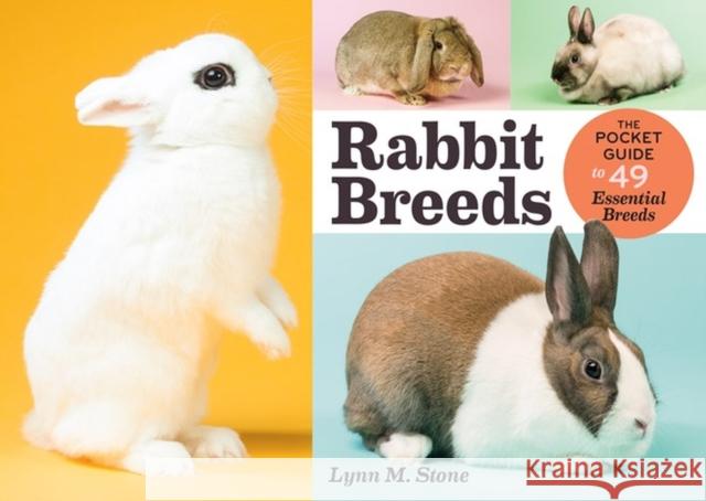 Rabbit Breeds: The Pocket Guide to 49 Essential Breeds Lynn Stone 9781612126029 Storey Publishing - książka