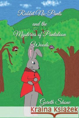 Rabbit No-Pants and the Mysteries of Pantaloon Woods Julia Linda Shone Lynne Julia Shone Gareth David Shon 9781799288305 Independently Published - książka