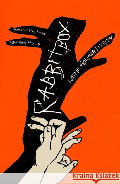 RABBITBOX Wayne Holloway-Smith 9781398552425 Simon & Schuster Ltd - książka