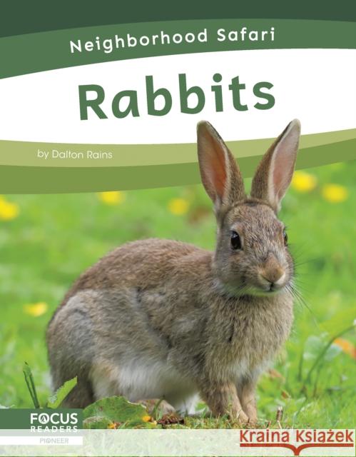 Rabbits Dalton Rains 9798889981787 Focus Readers - książka