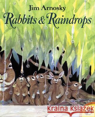 Rabbits and Raindrops Jim Arnosky Joy Peskin Jim Arnosky 9780698118157 Putnam Publishing Group - książka