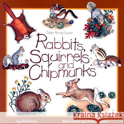 Rabbits, Squirrels and Chipmunks: Take-Along Guide Boring, Mel 9781559715799 Northword Press - książka