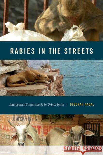 Rabies in the Streets: Interspecies Camaraderie in Urban India Deborah Nadal 9780271085968 Penn State University Press - książka