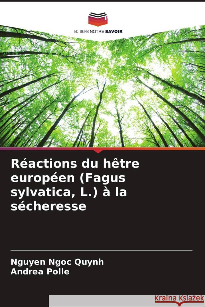 Réactions du hêtre européen (Fagus sylvatica, L.) à la sécheresse Ngoc Quynh, Nguyen, Polle, Andrea 9786205144176 Editions Notre Savoir - książka