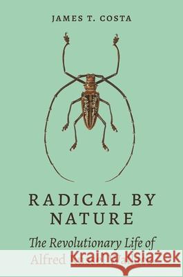 Radical by Nature: The Revolutionary Life of Alfred Russel Wallace James T. Costa 9780691233796 Princeton University Press - książka