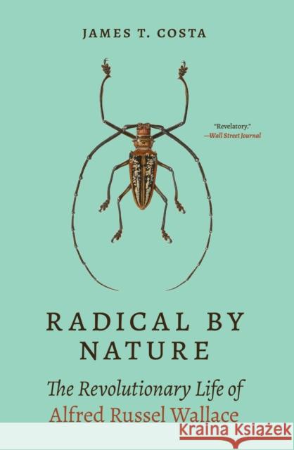 Radical by Nature: The Revolutionary Life of Alfred Russel Wallace James T. Costa 9780691233802 Princeton University Press - książka