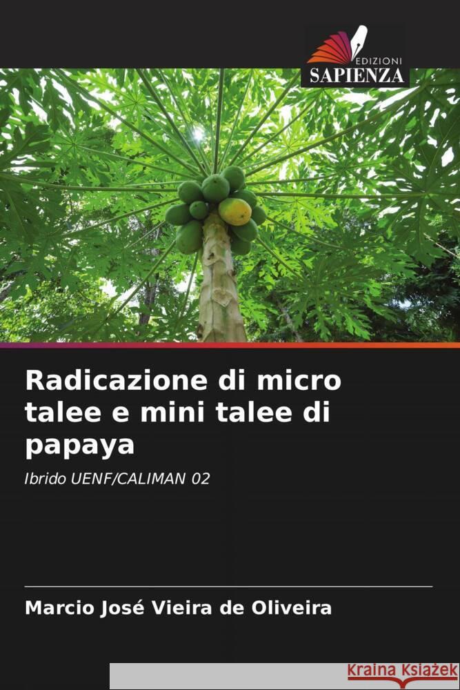 Radicazione di micro talee e mini talee di papaya Vieira de Oliveira, Marcio José 9786208668136 Edizioni Sapienza - książka