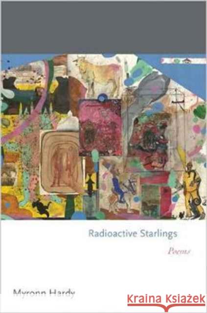 Radioactive Starlings: Poems Hardy, Myronn 9780691177106 John Wiley & Sons - książka