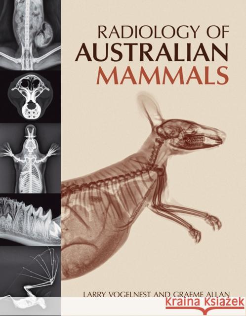 Radiology of Australian Mammals Larry Vogelnest Larry Vogelnest Graeme Allan 9780643108646 CSIRO Publishing - książka