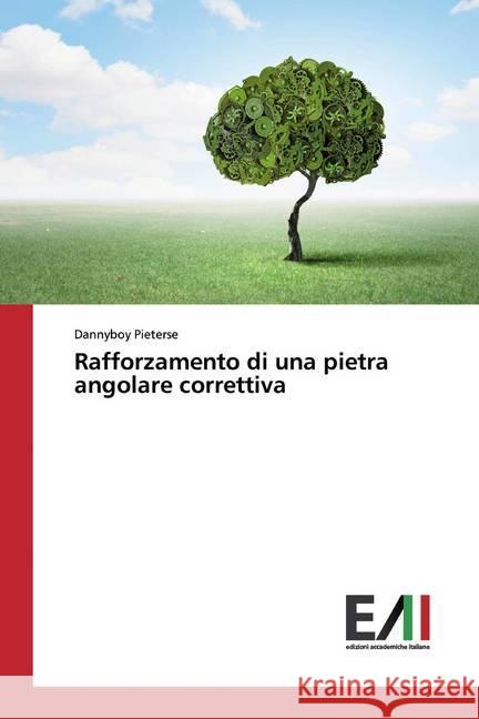 Rafforzamento di una pietra angolare correttiva Pieterse, Dannyboy 9786202089203 Edizioni Accademiche Italiane - książka