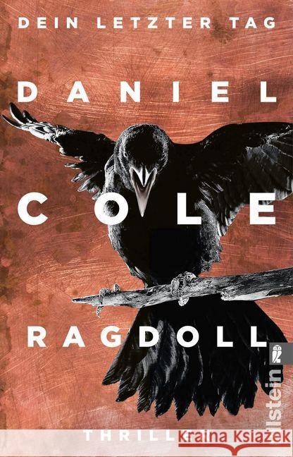 Ragdoll - Dein letzter Tag : Thriller Cole, Daniel 9783548060224 Ullstein TB - książka