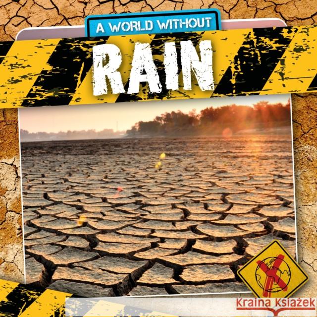 Rain William Anthony, Drue Rintoul 9781839271380 BookLife Publishing - książka