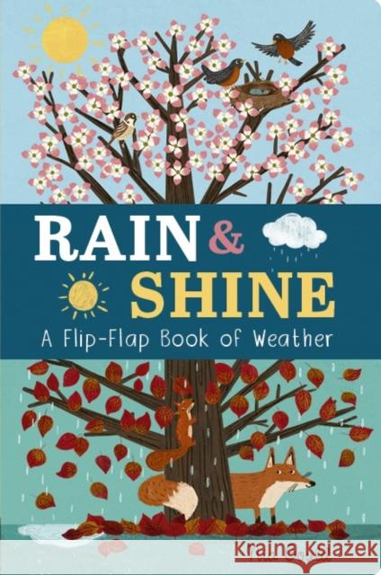 Rain & Shine: A Flip-Flap Book of Weather Molly Littleboy 9781801044578 Little Tiger Press Group - książka