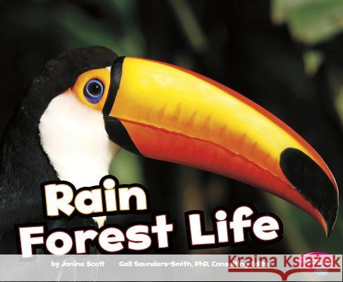 Rain Forest Life Janine Scott 9781429671521 Capstone Press - książka