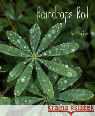 Raindrops Roll April Pulle April Pulle 9781481420648 Beach Lane Books - książka