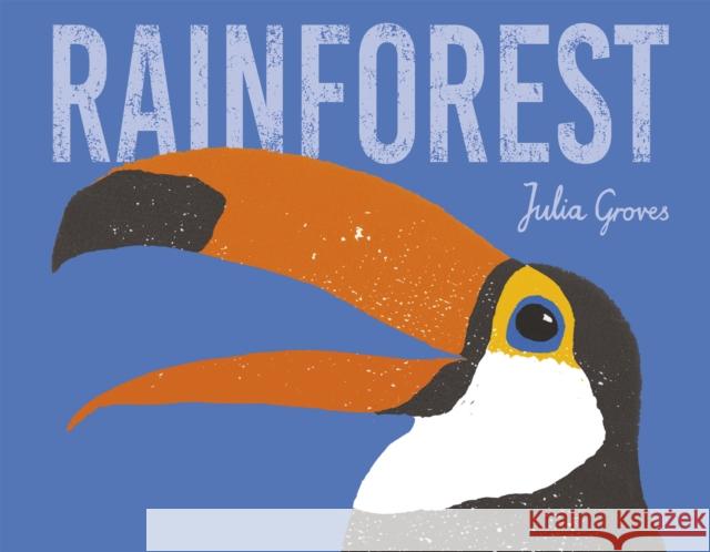 Rainforest Julia Groves 9781846439353 Child's Play International Ltd - książka