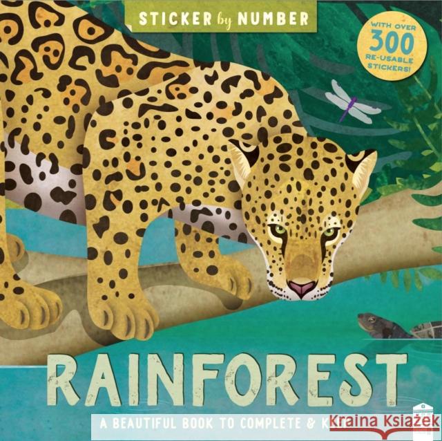 Rainforest Kath Jewitt 9781915356925 Townhouse Publishing Ltd - książka
