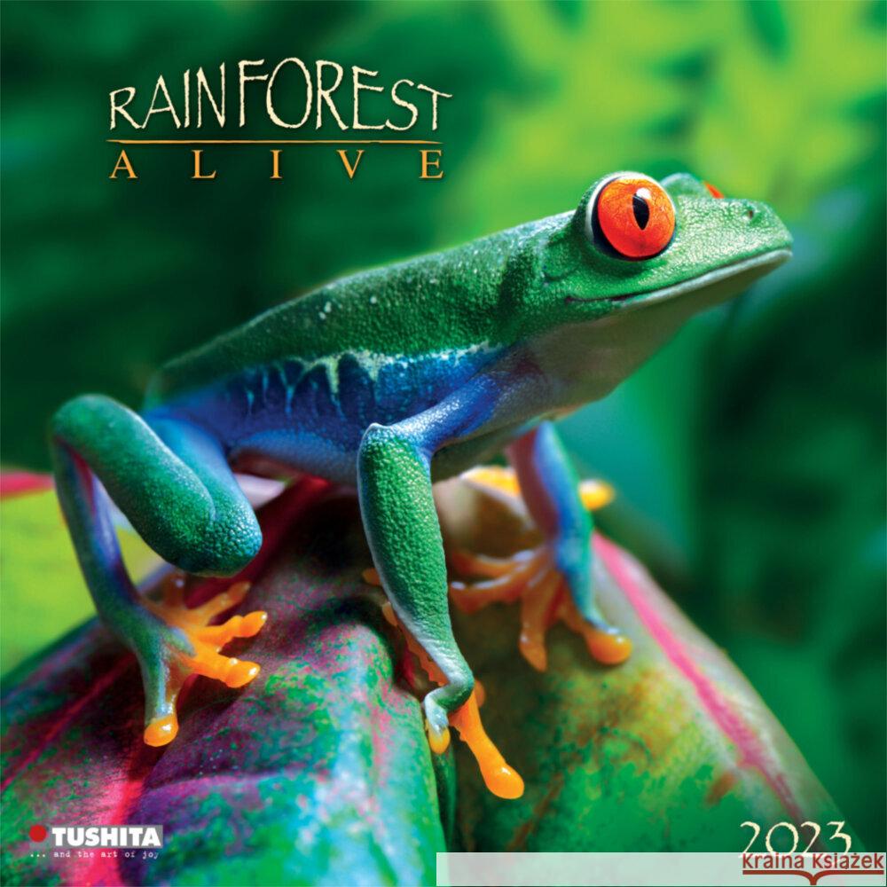 Rainforest Alive 2023  9783959290463 Tushita - książka