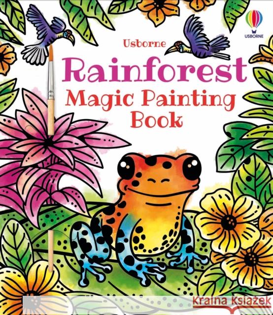 Rainforest Magic Painting Book Sam Baer 9781803701226 Usborne Publishing Ltd - książka