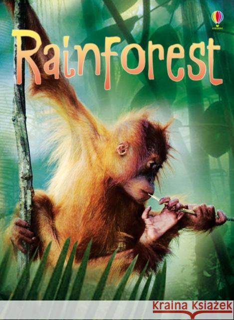 Rainforests Lucy Bowman 9780746090077 Usborne Publishing Ltd - książka