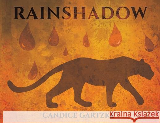 RainShadow Candice Gartzke 9781649790903 Austin Macauley Publishers LLC - książka