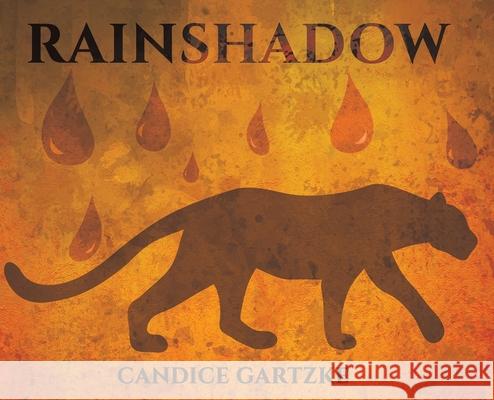 RainShadow Candice Gartzke 9781649790910 Austin Macauley Publishers LLC - książka